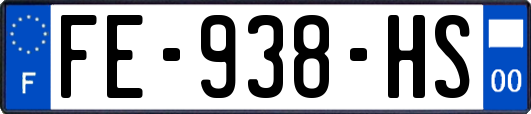 FE-938-HS
