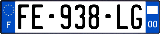 FE-938-LG