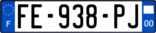 FE-938-PJ