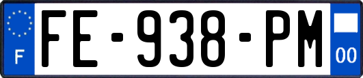 FE-938-PM