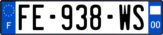 FE-938-WS