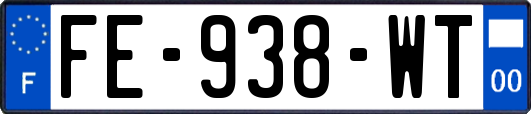 FE-938-WT