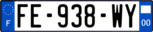 FE-938-WY
