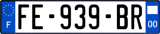 FE-939-BR