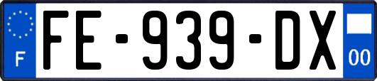 FE-939-DX