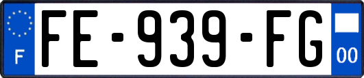 FE-939-FG