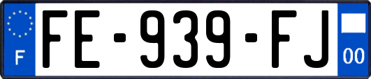 FE-939-FJ