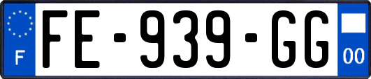 FE-939-GG