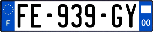 FE-939-GY