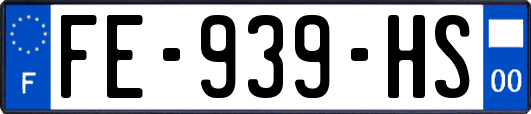 FE-939-HS