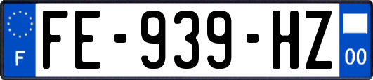 FE-939-HZ