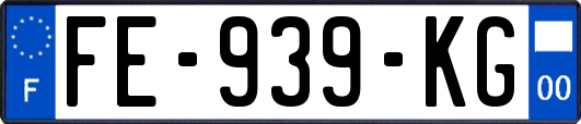 FE-939-KG