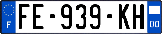 FE-939-KH