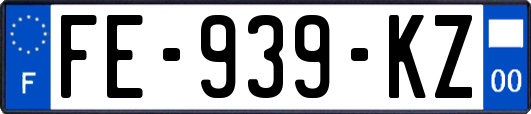 FE-939-KZ