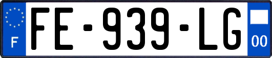 FE-939-LG