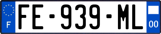 FE-939-ML