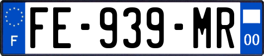 FE-939-MR