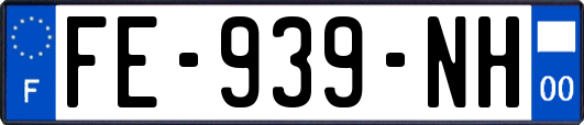 FE-939-NH