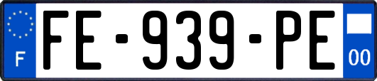 FE-939-PE