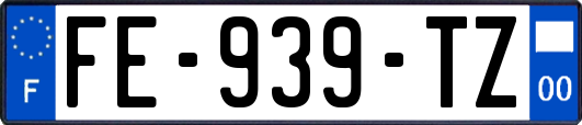FE-939-TZ