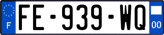 FE-939-WQ