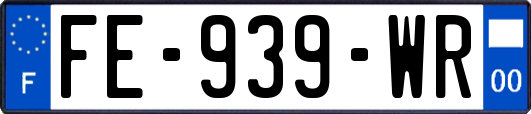 FE-939-WR