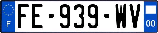 FE-939-WV