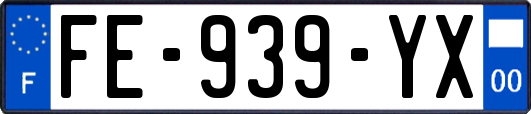 FE-939-YX