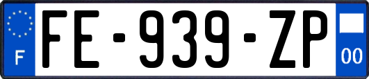 FE-939-ZP