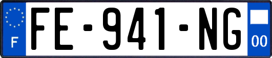FE-941-NG