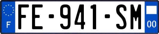 FE-941-SM