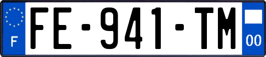 FE-941-TM