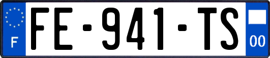 FE-941-TS