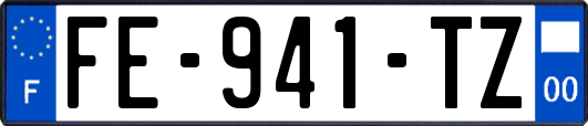 FE-941-TZ