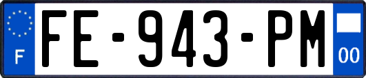 FE-943-PM