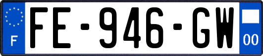 FE-946-GW