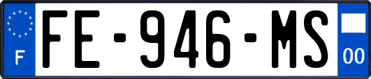 FE-946-MS