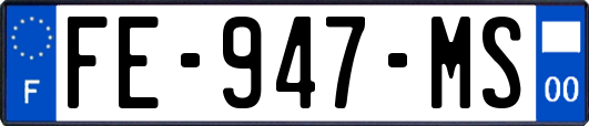 FE-947-MS