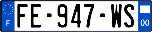 FE-947-WS