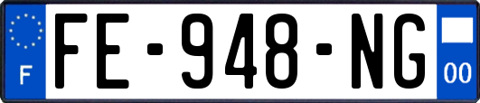FE-948-NG