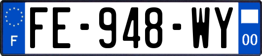 FE-948-WY
