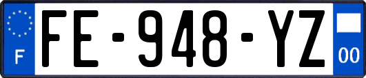 FE-948-YZ