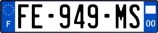 FE-949-MS