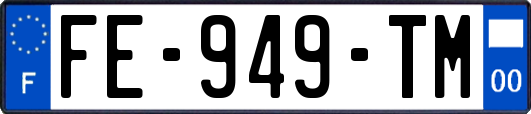 FE-949-TM