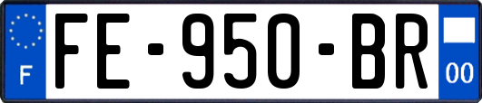 FE-950-BR