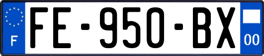FE-950-BX