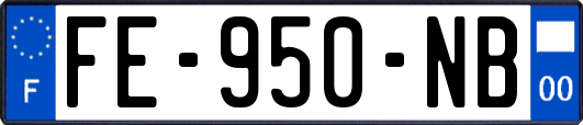 FE-950-NB