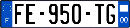 FE-950-TG