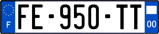 FE-950-TT