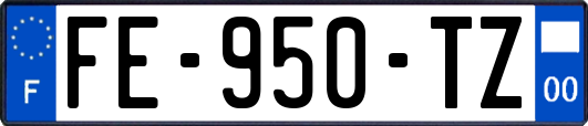 FE-950-TZ